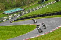 cadwell-no-limits-trackday;cadwell-park;cadwell-park-photographs;cadwell-trackday-photographs;enduro-digital-images;event-digital-images;eventdigitalimages;no-limits-trackdays;peter-wileman-photography;racing-digital-images;trackday-digital-images;trackday-photos